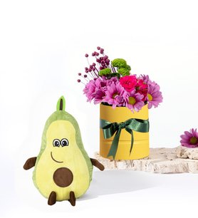 Sarı Saksıda Pembe Papatyalar ve Avokado Yastık