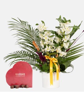 Beyaz Saksıda Dendrobium ve Kalp Gurme Lezzet