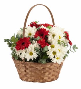 Kırmızı Gerbera ve Beyaz Papatya Çiçek Sepeti