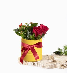 Sarı Polimer Saksıda Kırmızı Gül ve Kalanchoe