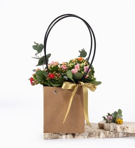 Kraft Çantada Kırmızı Pembe ve Turuncu Kalanchoe